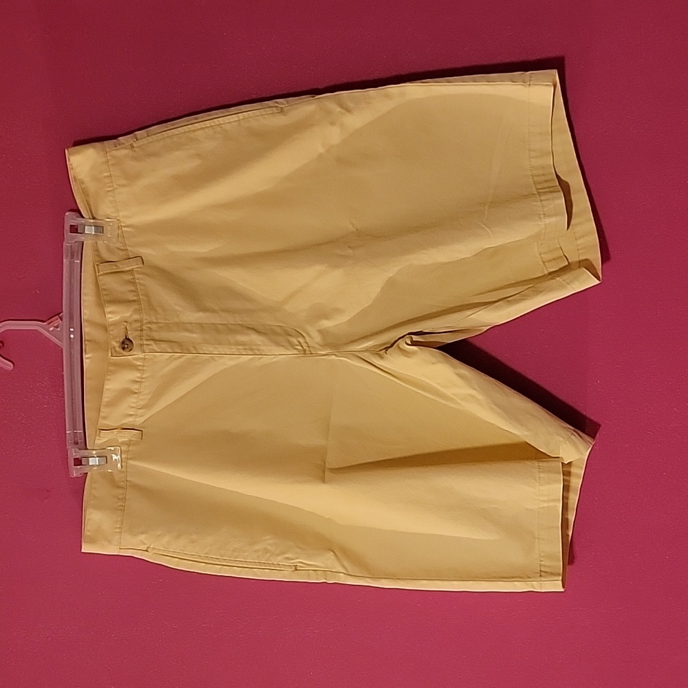 Protour Shorts sz 36